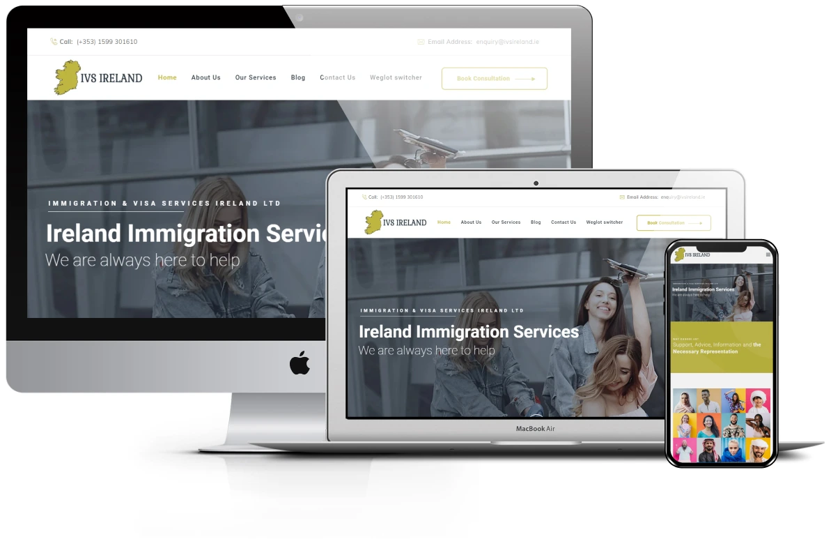 IVS Ireland - website design presentation
