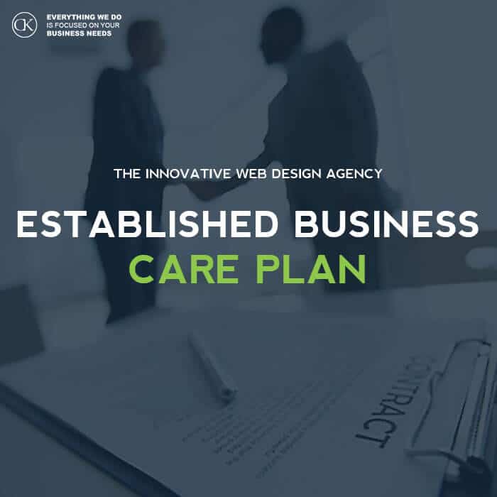 Website Care Plan for - Established Business