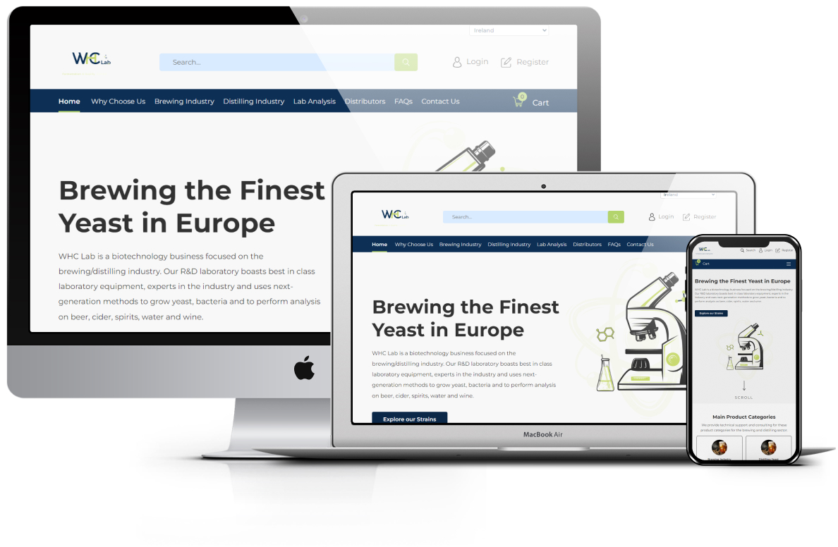 WHC Lab - website design presentation