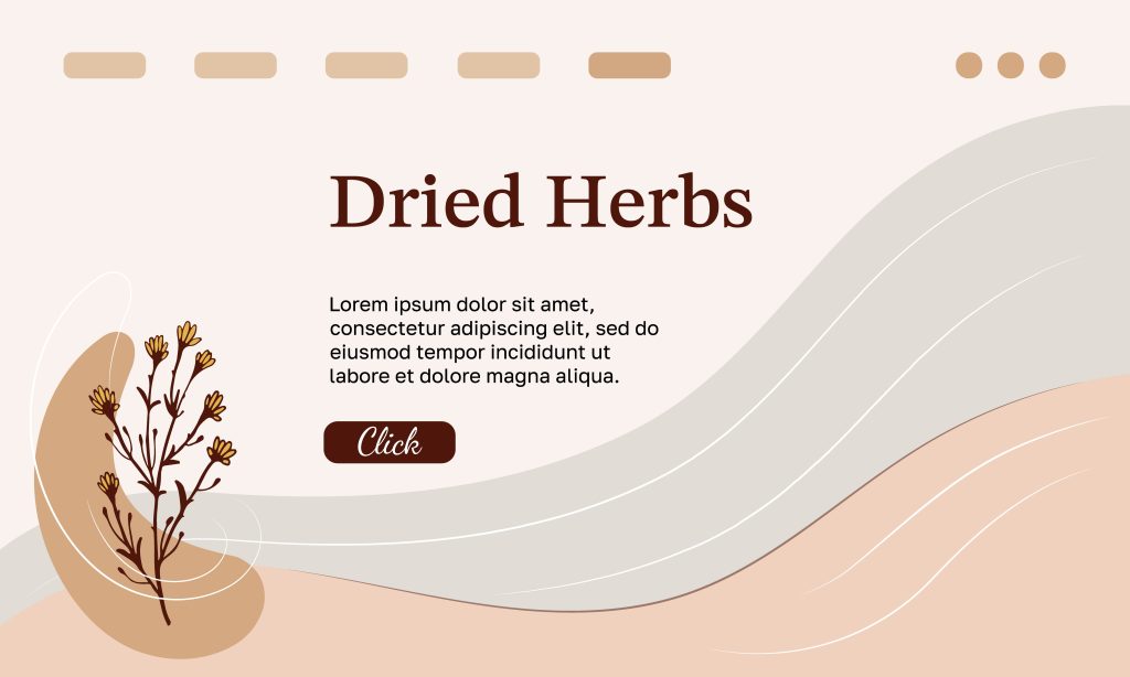 Minimalist Aesthetics in-web design trends 2024 Minimalist Aesthetics in-web design dublin trends 2024